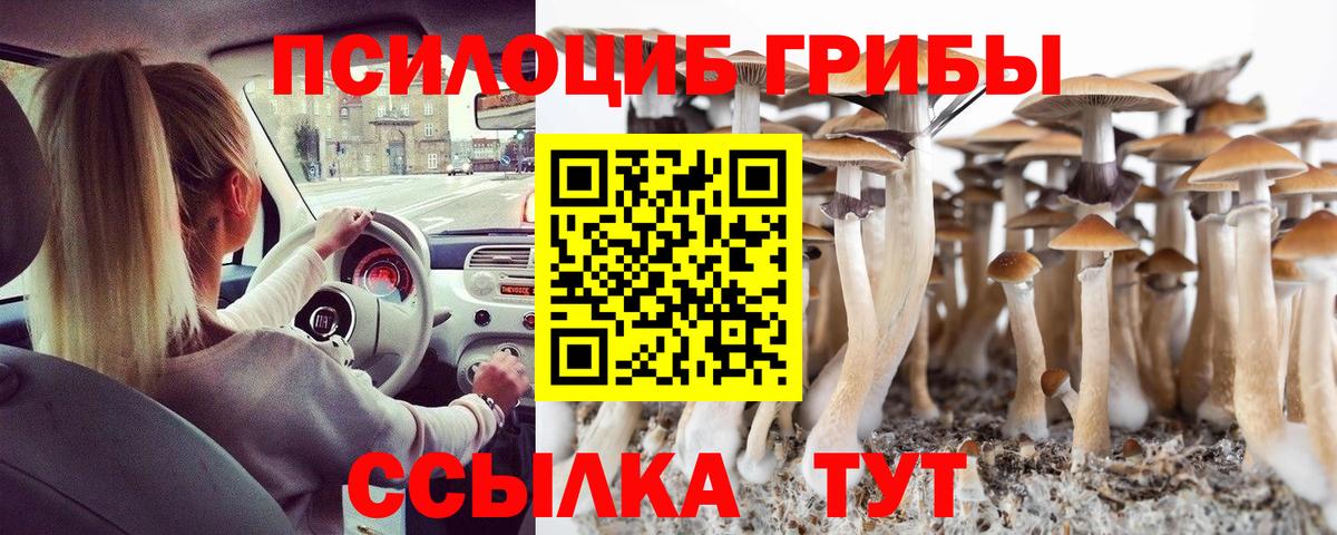 Псилоцибиновые грибы мицелий Гай