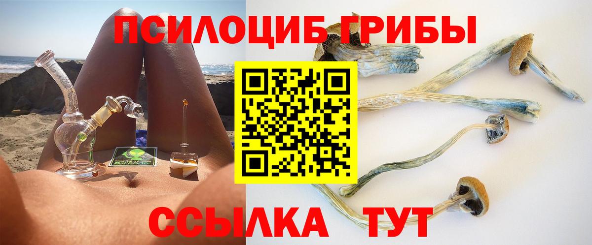 Гай  продажа наркотиков  Вход с VPN  Галлюциногенные грибы MAGIC MUSHROOMS 